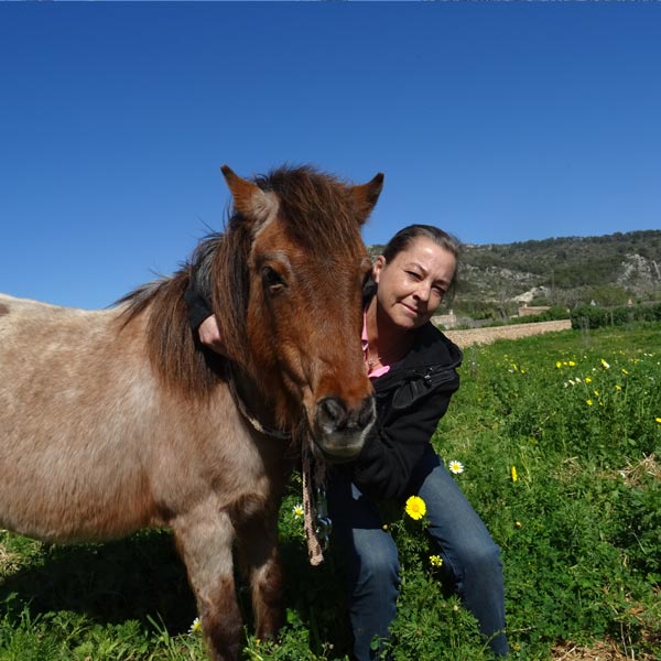 Horse Boarding With Our Loving Care Can Paulino
